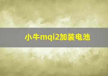 小牛mqi2加装电池