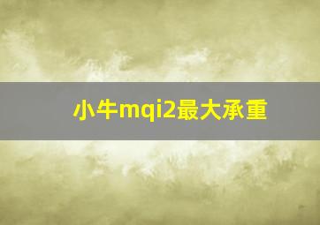 小牛mqi2最大承重