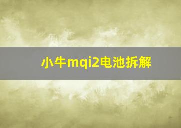 小牛mqi2电池拆解