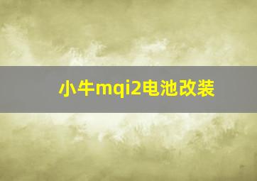 小牛mqi2电池改装