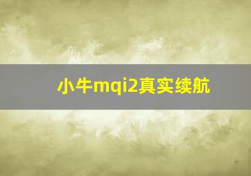 小牛mqi2真实续航