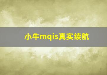 小牛mqis真实续航