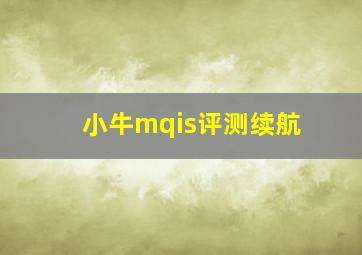 小牛mqis评测续航