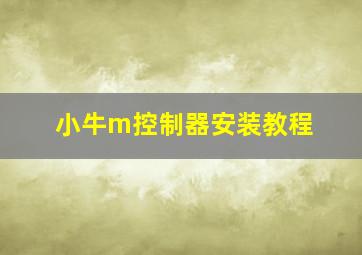 小牛m控制器安装教程