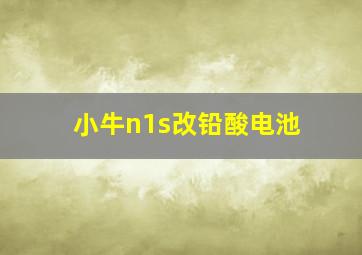 小牛n1s改铅酸电池