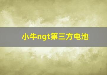 小牛ngt第三方电池