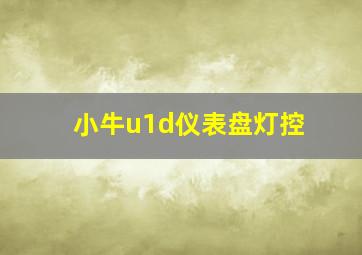 小牛u1d仪表盘灯控