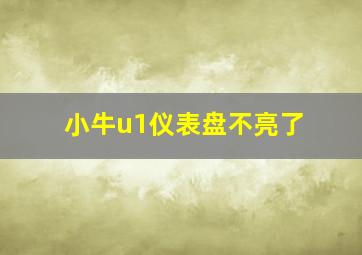 小牛u1仪表盘不亮了