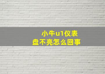 小牛u1仪表盘不亮怎么回事