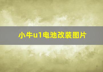 小牛u1电池改装图片