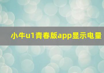 小牛u1青春版app显示电量