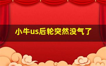 小牛us后轮突然没气了