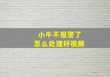 小牛不报警了怎么处理好视频