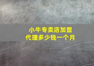 小牛专卖店加盟代理多少钱一个月