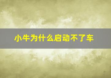 小牛为什么启动不了车