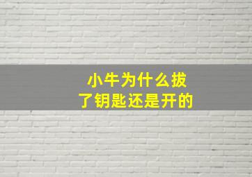 小牛为什么拔了钥匙还是开的