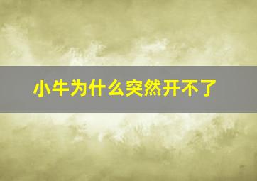 小牛为什么突然开不了