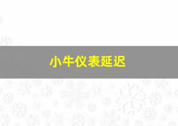 小牛仪表延迟