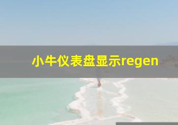 小牛仪表盘显示regen