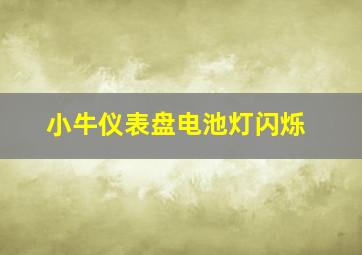 小牛仪表盘电池灯闪烁