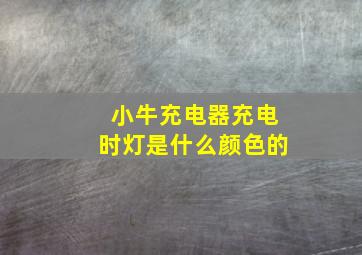 小牛充电器充电时灯是什么颜色的