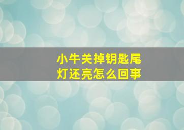 小牛关掉钥匙尾灯还亮怎么回事