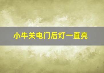 小牛关电门后灯一直亮