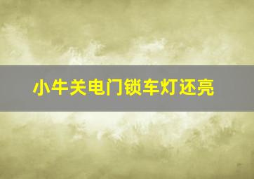 小牛关电门锁车灯还亮