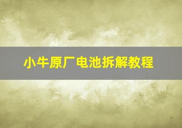 小牛原厂电池拆解教程