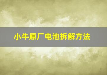 小牛原厂电池拆解方法