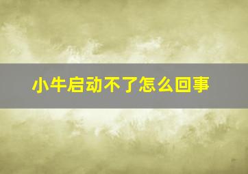 小牛启动不了怎么回事