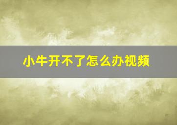 小牛开不了怎么办视频