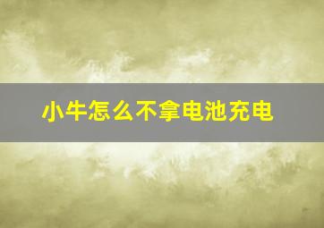 小牛怎么不拿电池充电