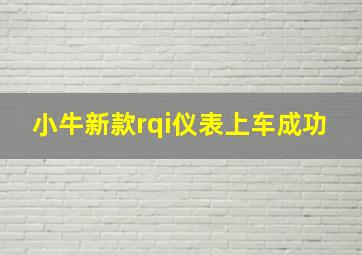 小牛新款rqi仪表上车成功