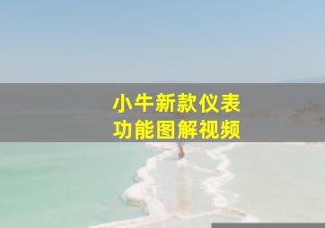 小牛新款仪表功能图解视频