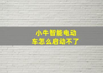 小牛智能电动车怎么启动不了