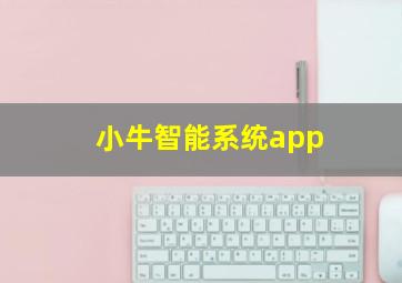 小牛智能系统app