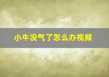 小牛没气了怎么办视频