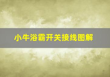 小牛浴霸开关接线图解