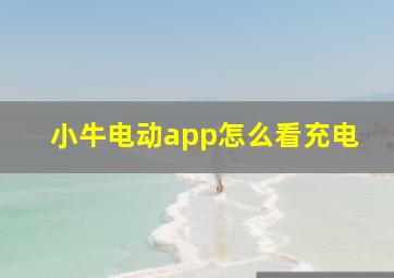 小牛电动app怎么看充电