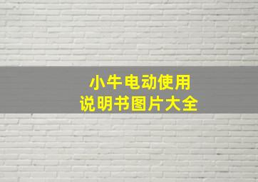 小牛电动使用说明书图片大全