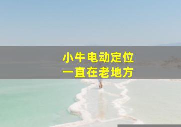 小牛电动定位一直在老地方