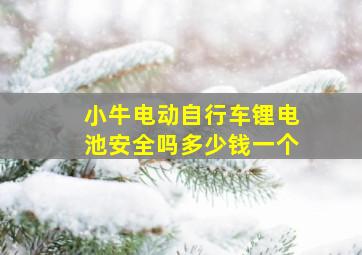 小牛电动自行车锂电池安全吗多少钱一个