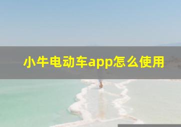 小牛电动车app怎么使用