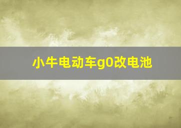 小牛电动车g0改电池