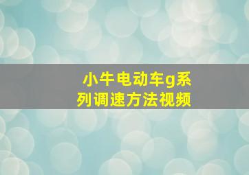 小牛电动车g系列调速方法视频