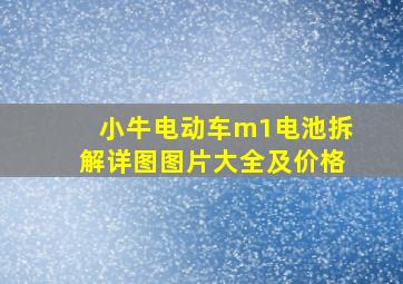 小牛电动车m1电池拆解详图图片大全及价格