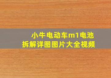 小牛电动车m1电池拆解详图图片大全视频