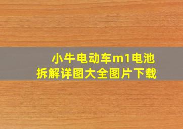 小牛电动车m1电池拆解详图大全图片下载