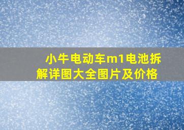 小牛电动车m1电池拆解详图大全图片及价格